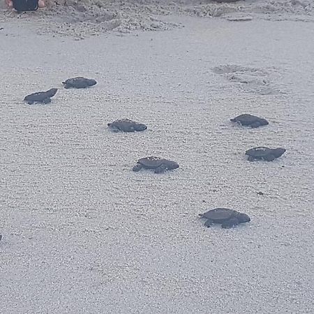 Apartamento Praia Dos Carneiros Tamandaré Kültér fotó